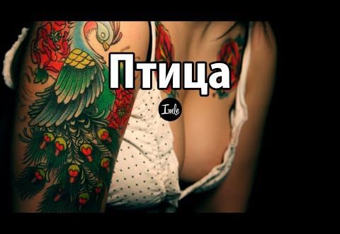 Значение тату птицы — что символизирует, кому подходит