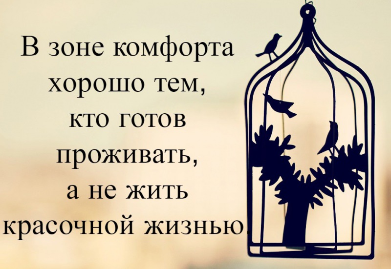 Зона комфорта: что это такое и как из неё выбраться