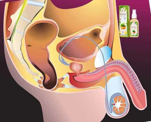 Зуд при варикозе: причины, лечение (медикаменты, народные средства, диетотерапия), возможные осложнения (трофические язвы, дерматит, экзема)
