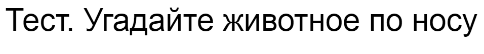 Ответы на тест. Угадайте животное по носу