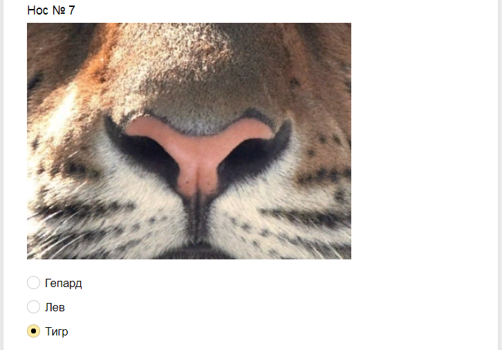 Ответы на тест. Угадайте животное по носу