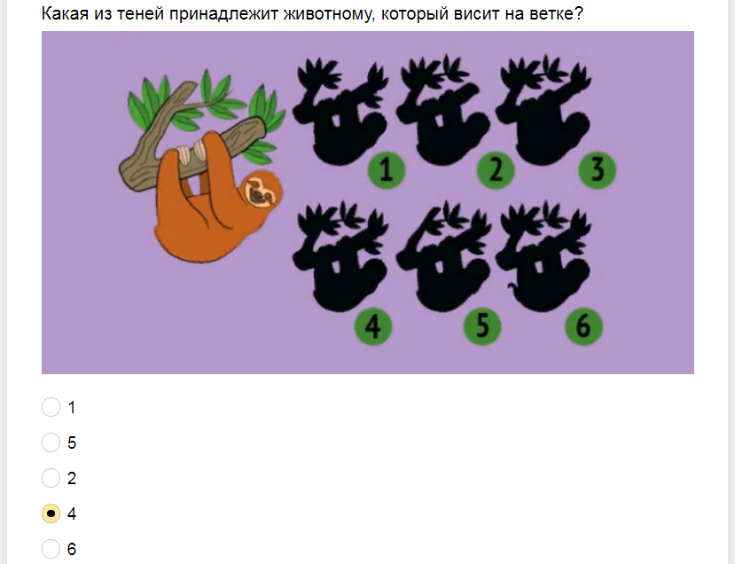 Ответы на тест-загадку