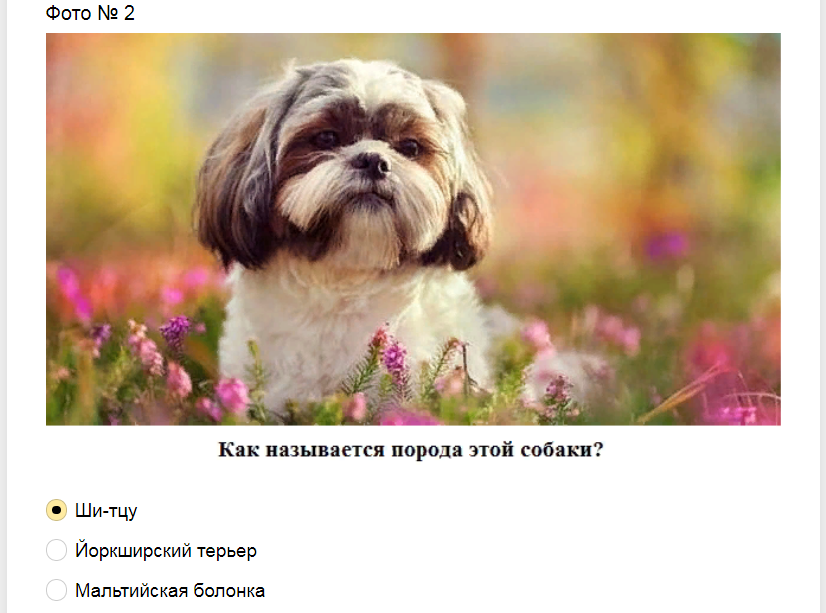 Ответы на тест о знаниях