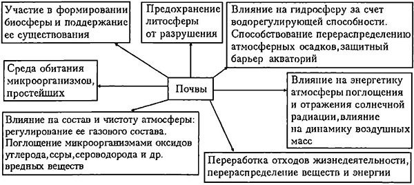 Биогеоценоз в чрезвычайной ситуации