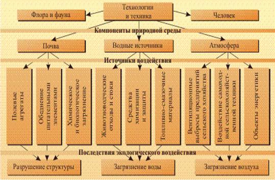 Биогеоценоз в чрезвычайной ситуации