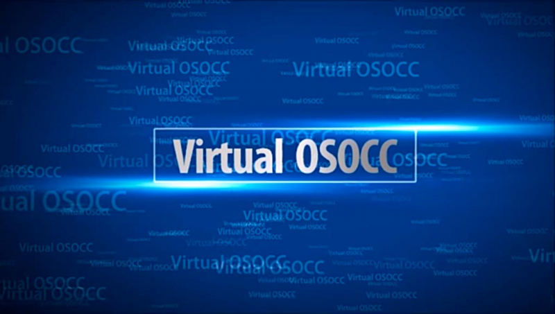 Виртуальный координационный центр (virtual osocc)