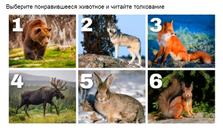 Ответы на психологический тест, который самую негативную Вашего черту характера