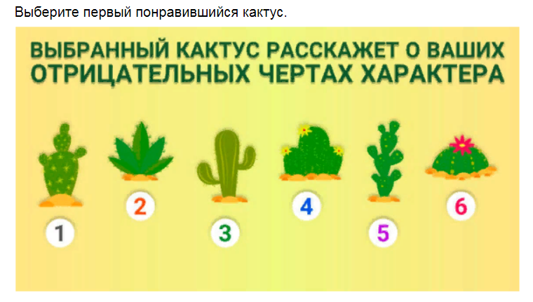 Ответы на психологический тест. Выберите кактус и узнайте свою тёмную сторону