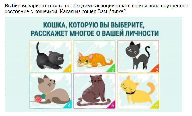 Ответы на психологический тест. Выберите котенка и узнаете о своей личности