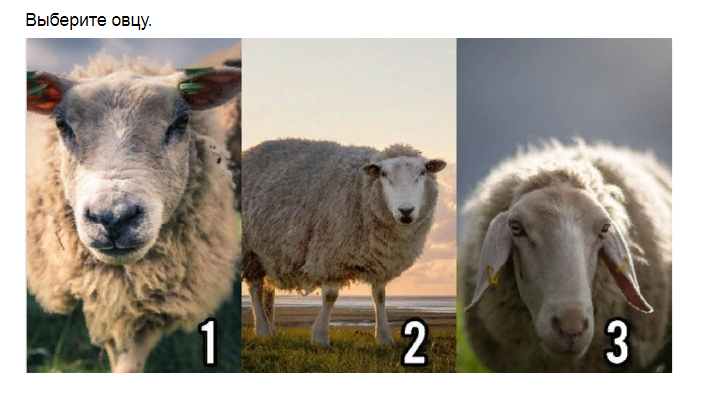 Ответы на психологический тест, который расскажет легко ли Вас обмануть