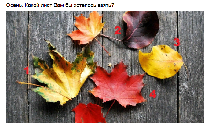 Ответы на психологический тест, который определит насколько Вы ленивы и почему ленитесь