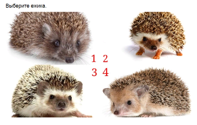 Ответы на психологический тест, который расскажет о чертах Вашего характера и типе личности