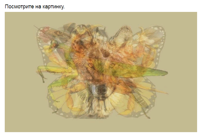 Ответы на психологический тест, который определит Ваш тип личности