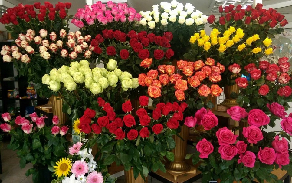 Выбираем цветы для девушки