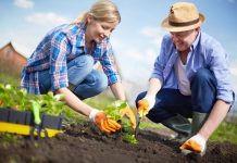 Что нужно для садовода