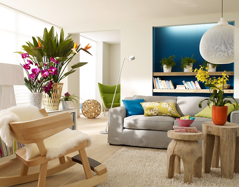 Какие комнатные цветы помогут украсить гостиную