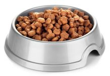 Заботимся о домашних животных: о правильном питании