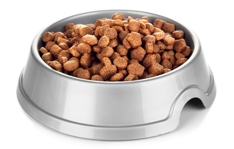 Заботимся о домашних животных: о правильном питании