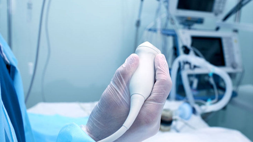 УЗИ органов мошонки