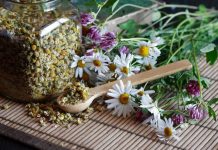 Лечебные сборы на травах — отличное решение от многих болезней