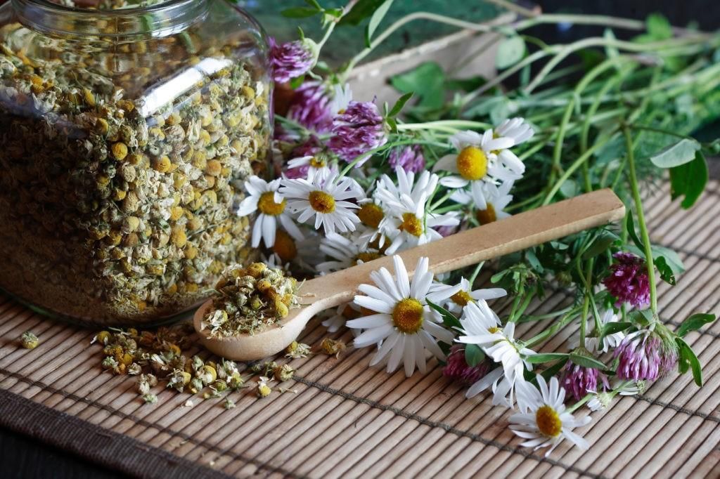 Лечебные сборы на травах - отличное решение от многих болезней