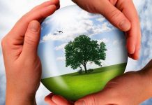 Что такое зеленые инвестиции