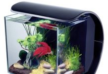 Товары для аквариумов оптом