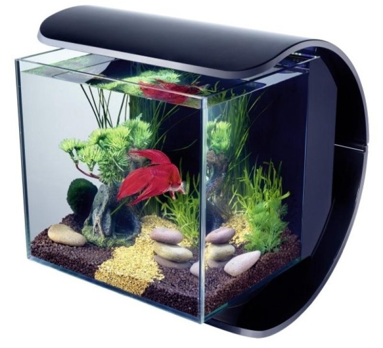 Товары для аквариумов оптом