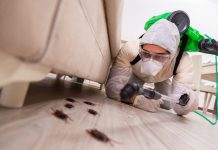 Уничтожение вредоносных насекомых: способы и средства