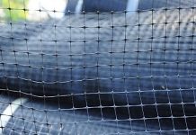 Как защитить дачный участок от кротов