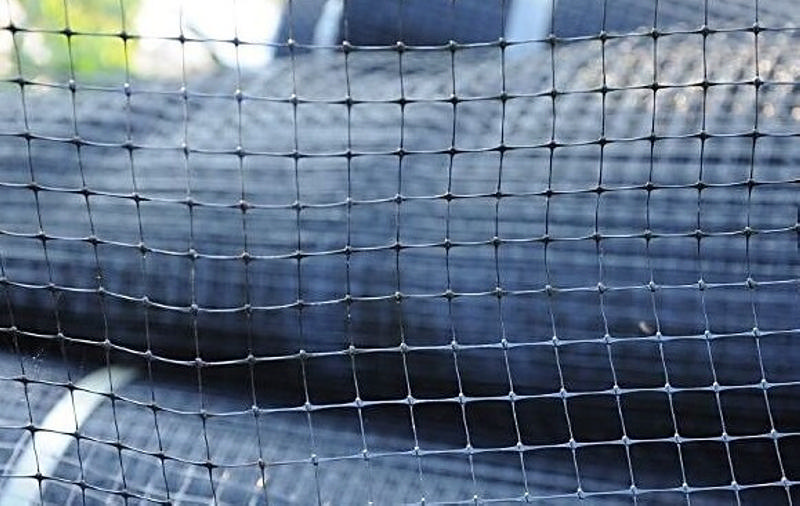 Как защитить дачный участок от кротов