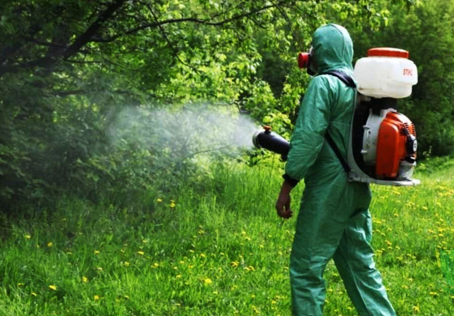 Плюсы обработки территории от клещей