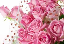 ЛУЧШИЕ СОЧЕТАНИЯ РОЗ ДЛЯ БУКЕТОВ, ЗНАЧЕНИЕ ЦВЕТА И МАГИЧЕСКИЕ ОСОБЕННОСТИ