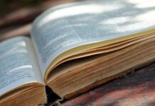 Виды словарей для подбора синонимов к слову