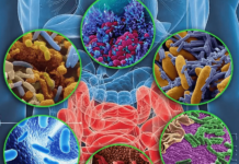 Что надо знать про микрофлору?