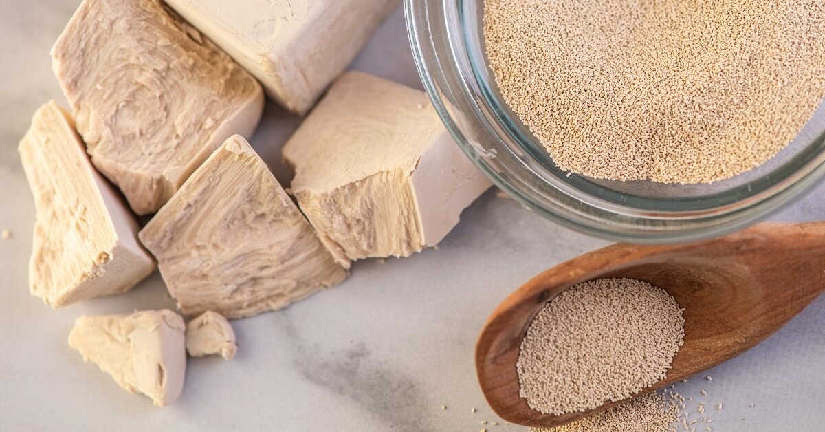 Какие бывают дрожжи