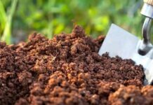 Что такое органические удобрения