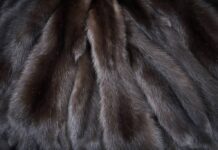 Основные отличия меха соболя
