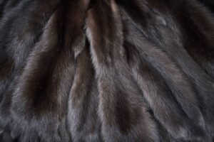 Основные отличия меха соболя
