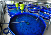 Водоподготовка для сельского хозяйства