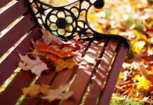 История и значение чугунных парковых скамеек в городском ландшафте