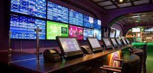 Особенности ставок в букмекерских конторах