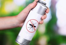 Защита дома от Насекомых с “Марафет”: Безопасность в Приоритете