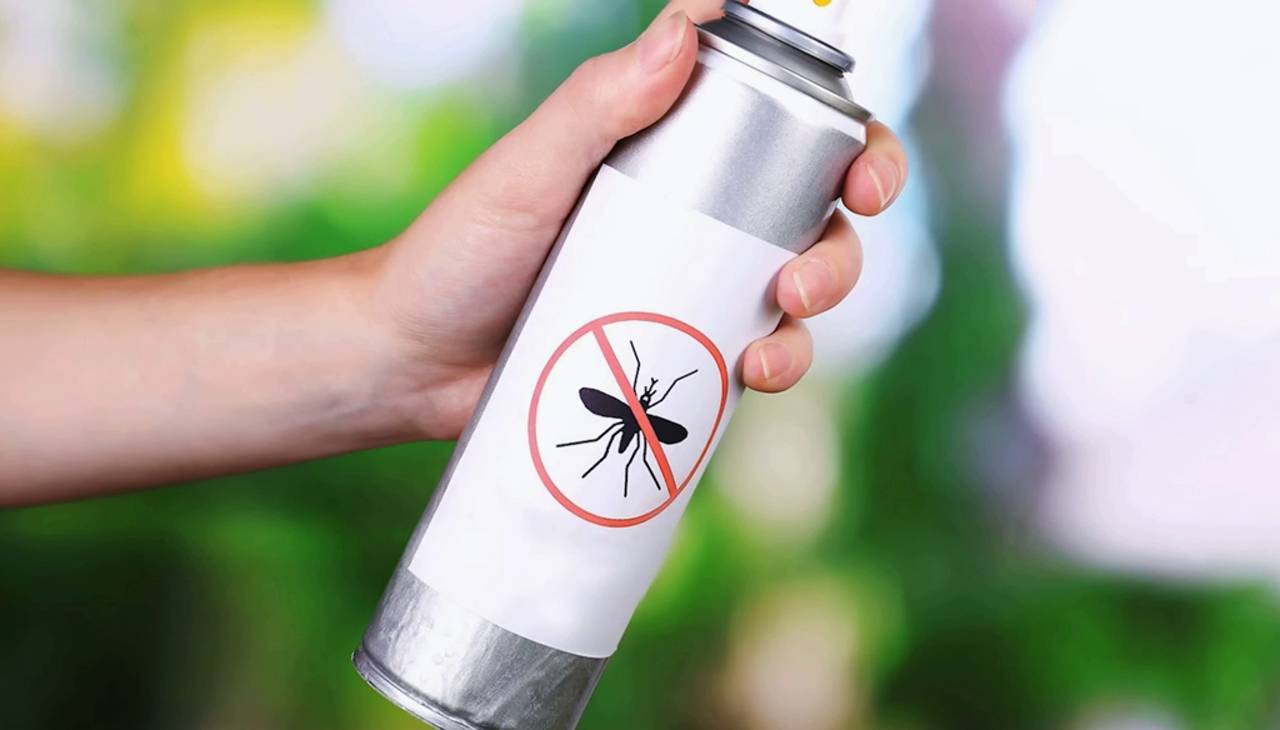 Защита дома от Насекомых с “Марафет”: Безопасность в Приоритете