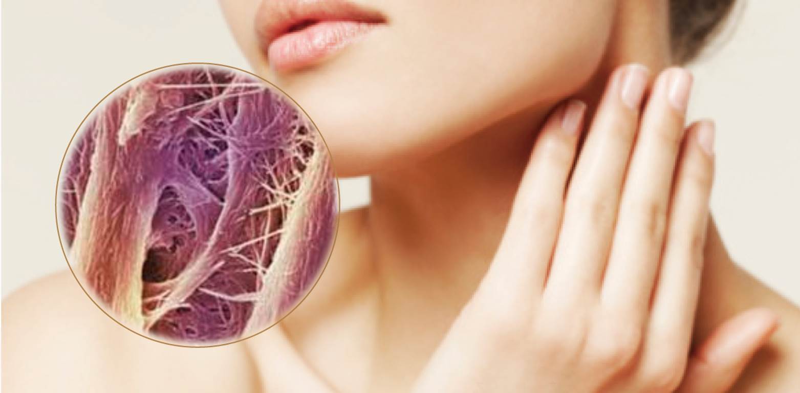 Правильное употребление коллагена: руководство по получению преимуществ