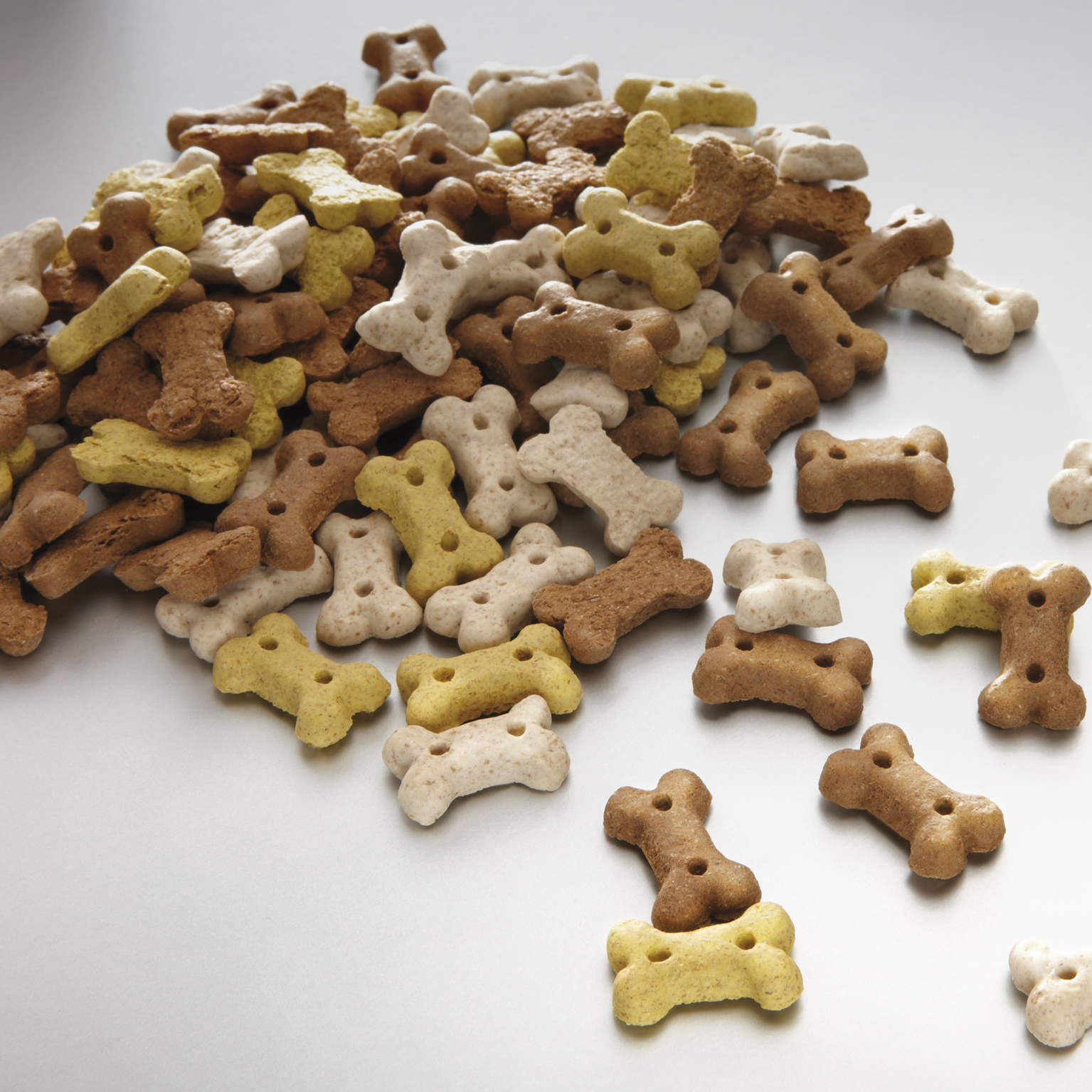 Лакомства для собак: идеальная награда для вашего пушистого друга!