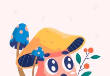 Изучаем чудесный мир гриба веселка