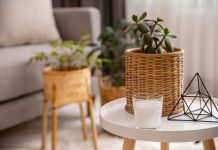 Как добавить интерьеру экологичности: пять простых идей