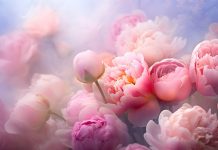 Доставка цветов: какие особенности?