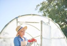 Пленка для сада полиэтиленовая: преимущества, о которых стоит знать